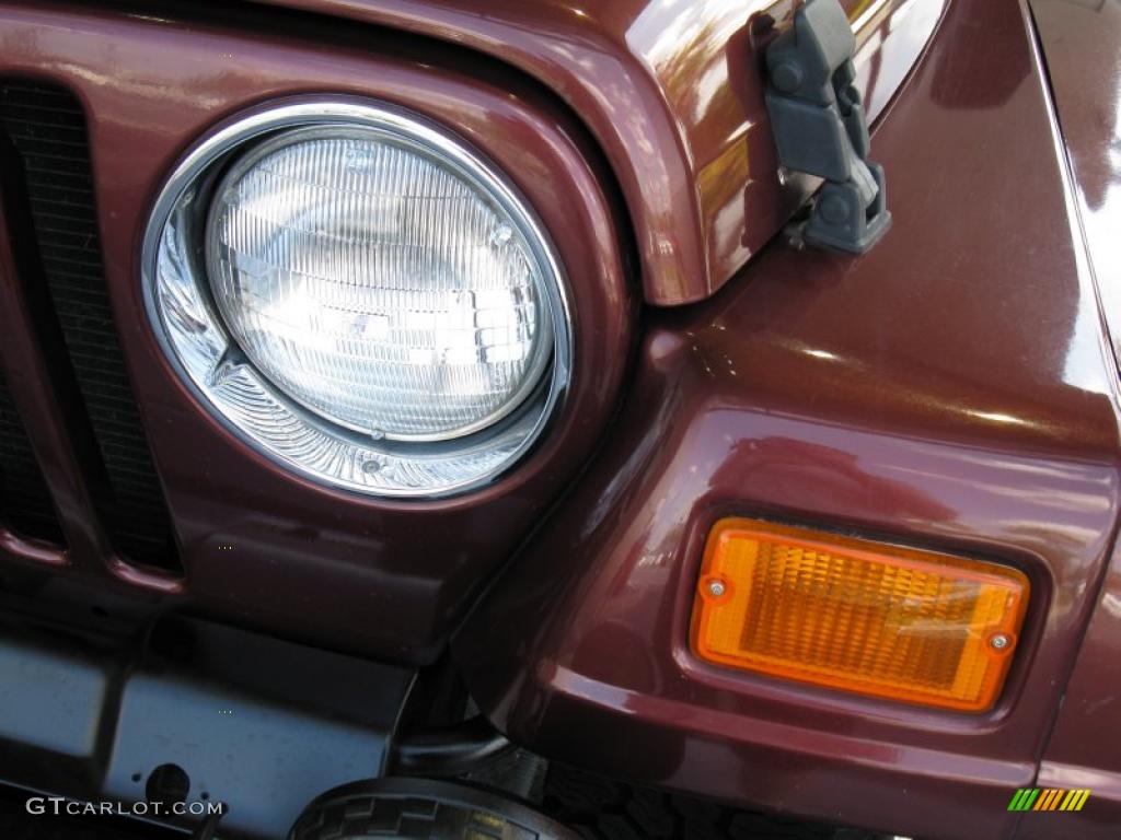 2001 Wrangler Sahara 4x4 - Sienna Pearl / Camel/Dark Green photo #7