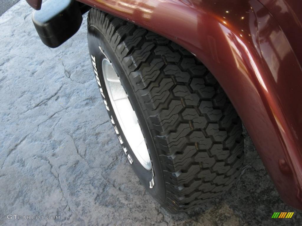 2001 Wrangler Sahara 4x4 - Sienna Pearl / Camel/Dark Green photo #8