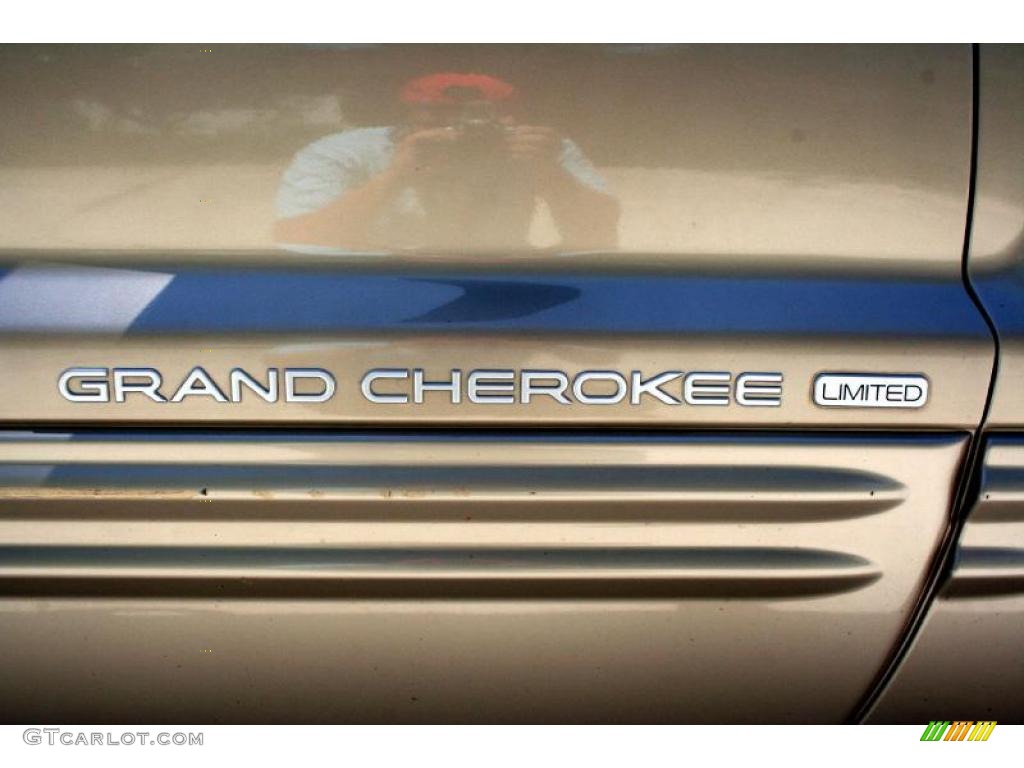 1999 Grand Cherokee Limited 4x4 - Champagne Pearl / Camel photo #64