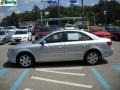 Radiant Silver - Sonata GLS Photo No. 6