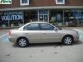 Champagne Beige - Elantra GLS Sedan Photo No. 2