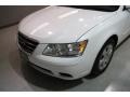 Powder White Pearl - Sonata GLS Photo No. 45
