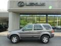 2004 Dark Shadow Grey Metallic Ford Escape Limited 4WD  photo #2