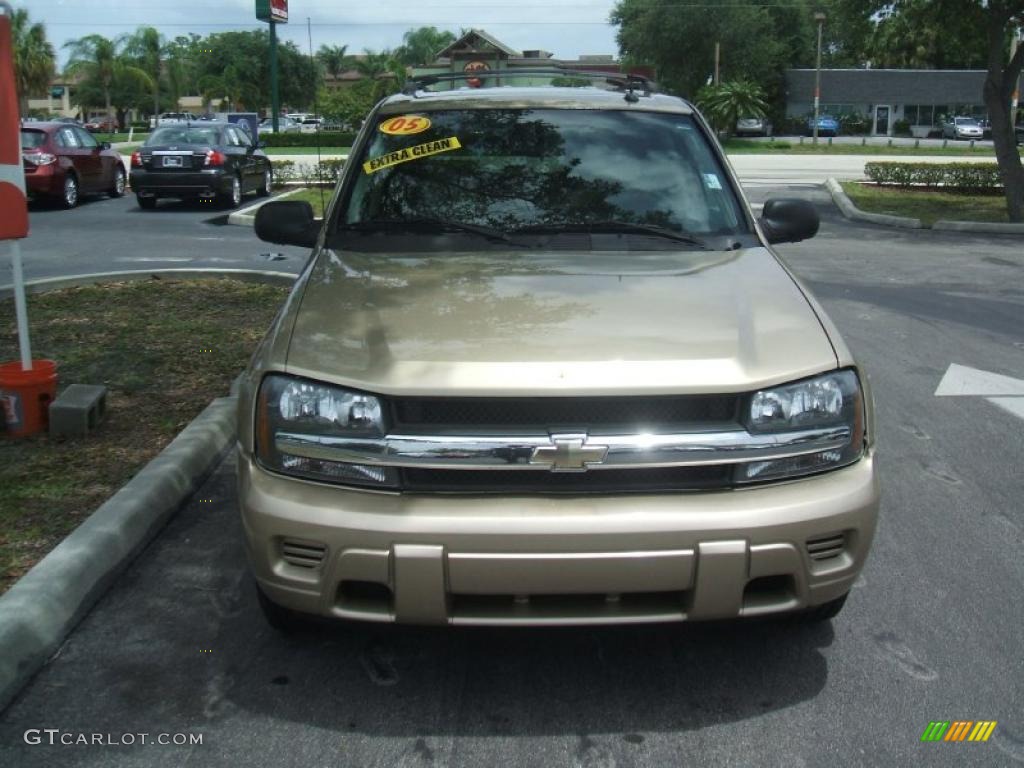 2005 TrailBlazer LS - Sandstone Metallic / Light Cashmere/Ebony photo #2