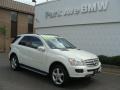 Arctic White - ML 350 4Matic Photo No. 1