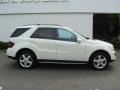 Arctic White - ML 350 4Matic Photo No. 7