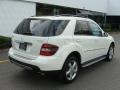 Arctic White - ML 350 4Matic Photo No. 8
