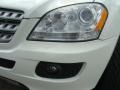 Arctic White - ML 350 4Matic Photo No. 29