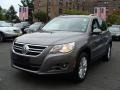 Alpine Grey Metallic - Tiguan SE Photo No. 1