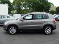 2009 Alpine Grey Metallic Volkswagen Tiguan SE  photo #8