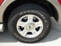 2003 Laser Red Tinted Metallic Ford Expedition Eddie Bauer  photo #13