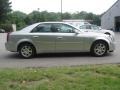 Light Platinum - CTS Sedan Photo No. 4