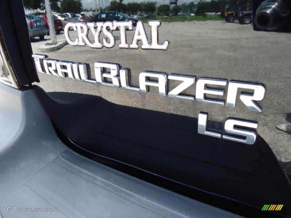 2006 TrailBlazer LS - Black / Light Gray photo #10