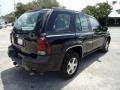 2006 Black Chevrolet TrailBlazer LS  photo #13