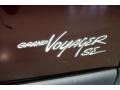 Maroon Pearl - Voyager SE Photo No. 25