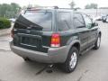 Dark Highland Green Metallic - Escape XLT V6 4WD Photo No. 3