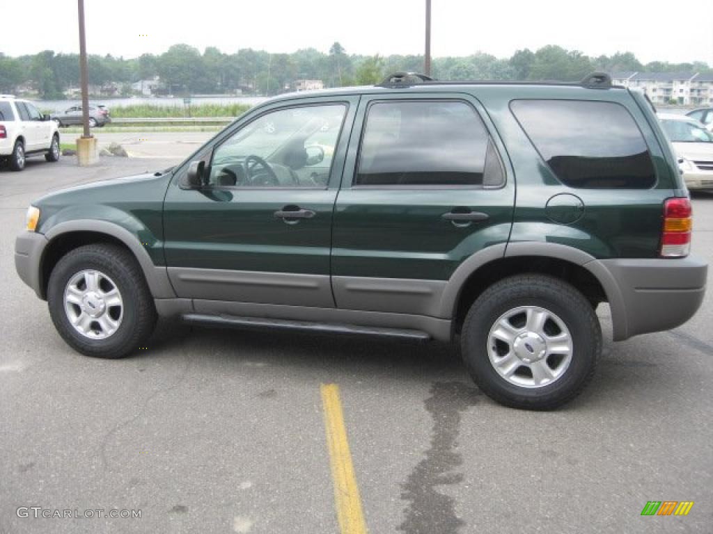 2001 Escape XLT V6 4WD - Dark Highland Green Metallic / Medium Graphite Grey photo #6