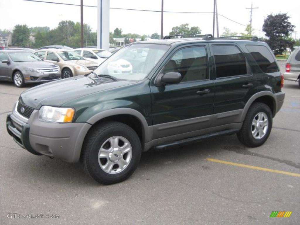2001 Escape XLT V6 4WD - Dark Highland Green Metallic / Medium Graphite Grey photo #7