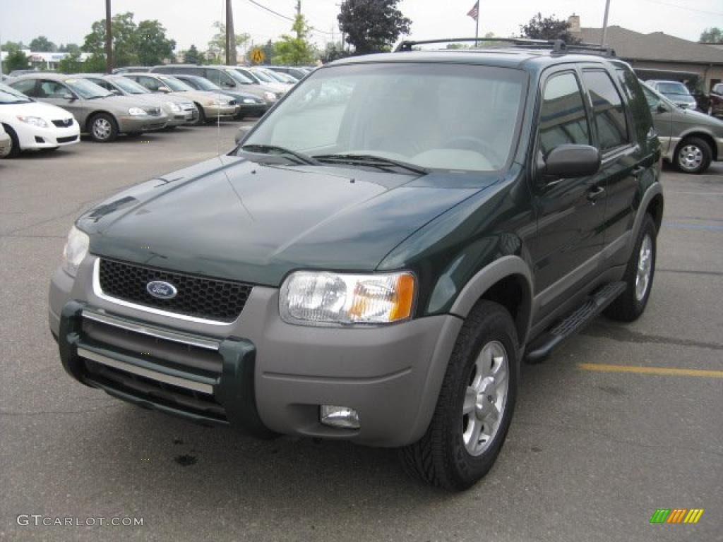2001 Escape XLT V6 4WD - Dark Highland Green Metallic / Medium Graphite Grey photo #8