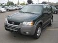 2001 Dark Highland Green Metallic Ford Escape XLT V6 4WD  photo #8