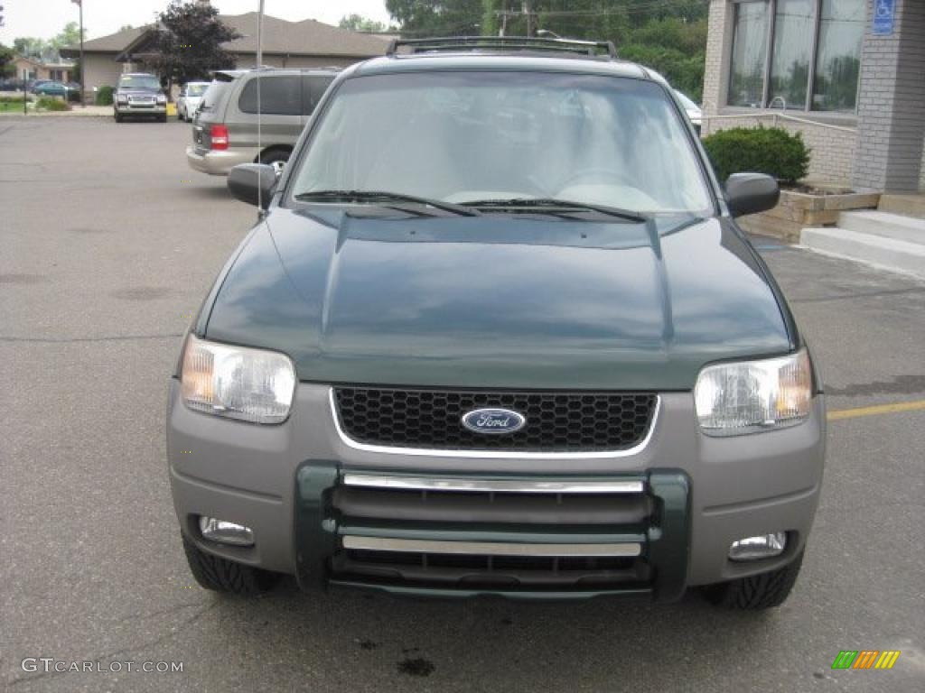 2001 Escape XLT V6 4WD - Dark Highland Green Metallic / Medium Graphite Grey photo #9