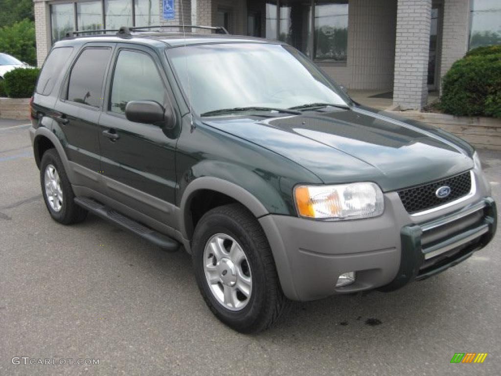 2001 Escape XLT V6 4WD - Dark Highland Green Metallic / Medium Graphite Grey photo #10