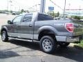 2010 Sterling Grey Metallic Ford F150 XLT SuperCrew 4x4  photo #5