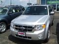 2010 Ingot Silver Metallic Ford Escape XLT V6 4WD  photo #1