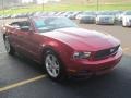 2010 Red Candy Metallic Ford Mustang V6 Convertible  photo #11