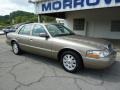 Arizona Beige Metallic - Grand Marquis LS Photo No. 2