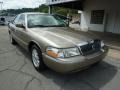Arizona Beige Metallic - Grand Marquis LS Photo No. 3