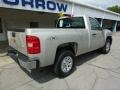 2008 Silver Birch Metallic Chevrolet Silverado 1500 Work Truck Regular Cab 4x4  photo #10