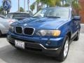 2001 Topaz Blue Metallic BMW X5 3.0i  photo #1