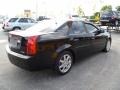 Sable Black - CTS Sedan Photo No. 6