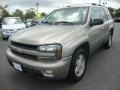 2002 Light Pewter Metallic Chevrolet TrailBlazer LS 4x4  photo #1