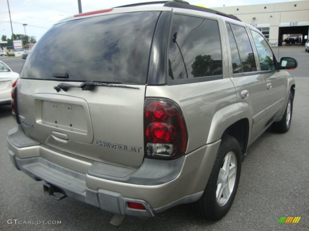 2002 TrailBlazer LS 4x4 - Light Pewter Metallic / Dark Pewter photo #5