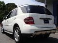 Arctic White - ML 350 4Matic Photo No. 9