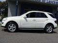Arctic White - ML 350 4Matic Photo No. 10