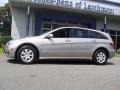 Pewter Metallic - R 350 4Matic Photo No. 5