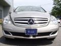 Pewter Metallic - R 350 4Matic Photo No. 6