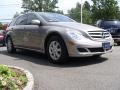 Pewter Metallic - R 350 4Matic Photo No. 7