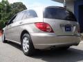 Pewter Metallic - R 350 4Matic Photo No. 10