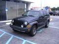 Midnight Blue Pearl - Liberty Renegade Photo No. 2