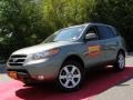 2008 Platinum Sage Hyundai Santa Fe SE  photo #1