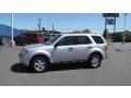 2009 Brilliant Silver Metallic Ford Escape XLT V6 4WD  photo #2