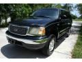 1999 Black Ford Expedition XLT 4x4  photo #18