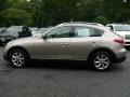 Scarlet Silver - EX 35 Journey AWD Photo No. 8