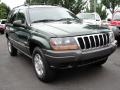 2001 Shale Green Metallic Jeep Grand Cherokee Laredo 4x4  photo #1