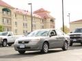 2007 Golden Pewter Metallic Chevrolet Malibu LS Sedan  photo #9