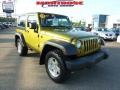 2008 Rescue Green Metallic Jeep Wrangler X 4x4  photo #3